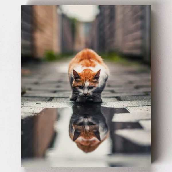 Curious Kitten Paint by Numbers Kit
