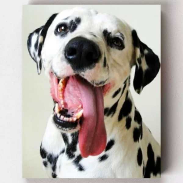 Happy Dalmatian Paint by Numbers Kit